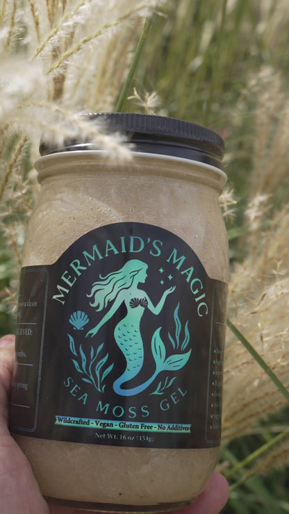 Pineapple Flavor Sea Moss Gel