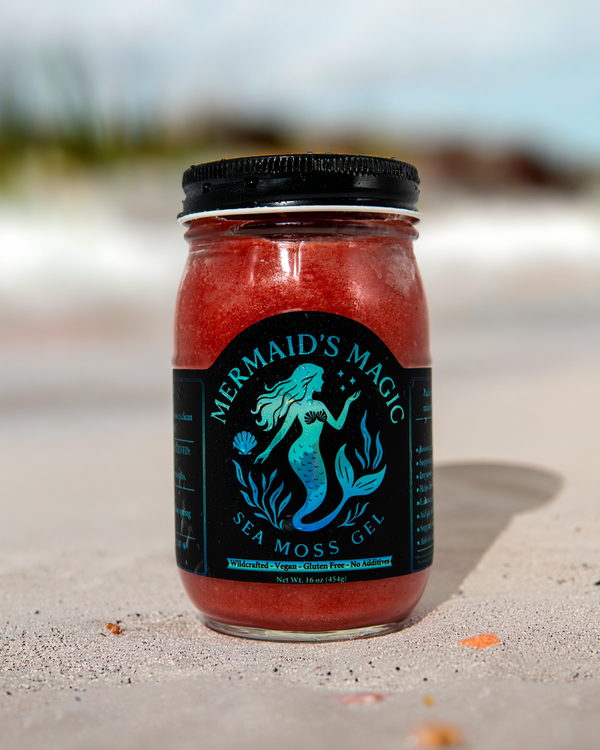 What is sea moss? The complete beginner's guide