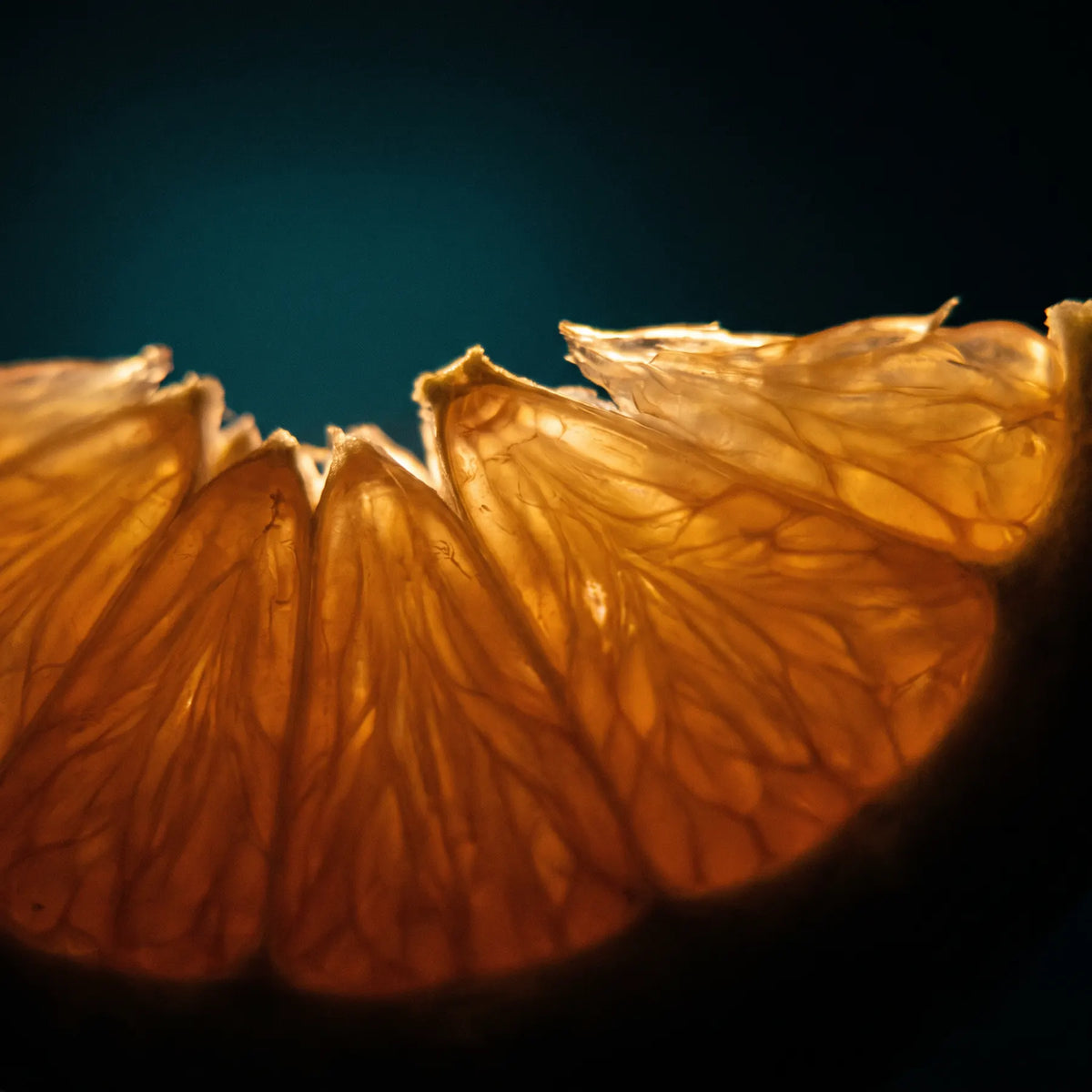 Backlit citrus pulp glowing amber